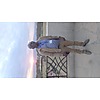 Celestin DJOKO photo