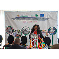 Live2Africa Close-Out Meeting image