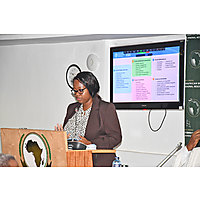 Chief Veterinary Officers image