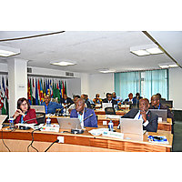 Chief Veterinary Officers image