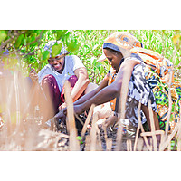 Conserving Aquatic Biodiversity in African Blue Economy image