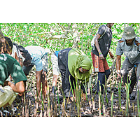 Conserving Aquatic Biodiversity in African Blue Economy image
