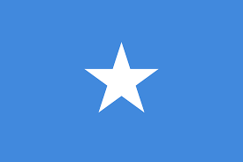 download (21).png