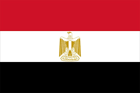 download (51).png