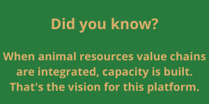 Add a subheading.png