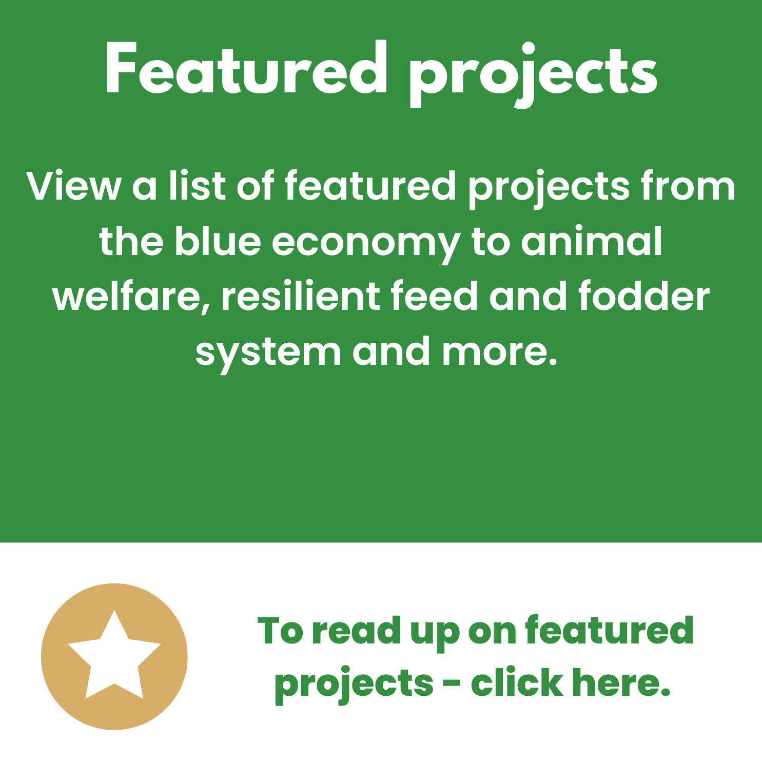 landing page wiki 3.png
