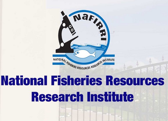 logo nafirri.jpg