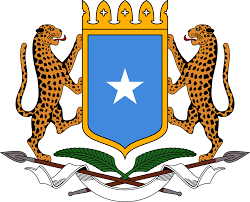 download (24).png